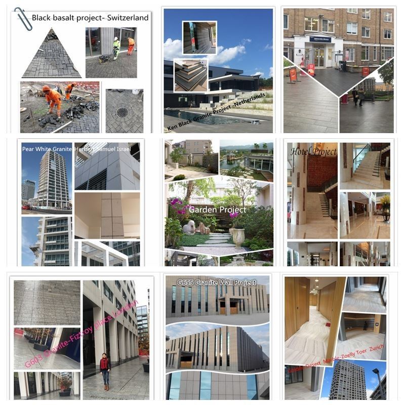 project we have done
